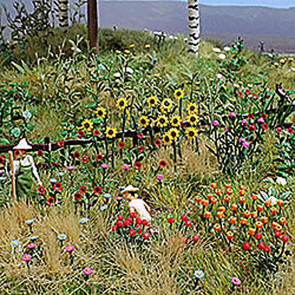 Assortimento di fiori e piante