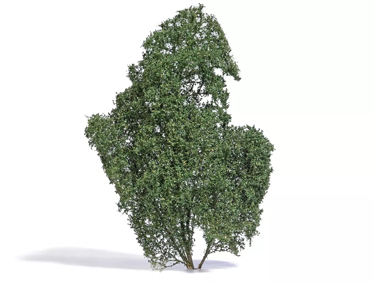 Albero estivo con foglie verde scuro Busch 3588 - HO 1/87 - O 1/43