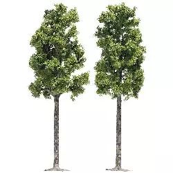 2 piastre da 16,5 cm