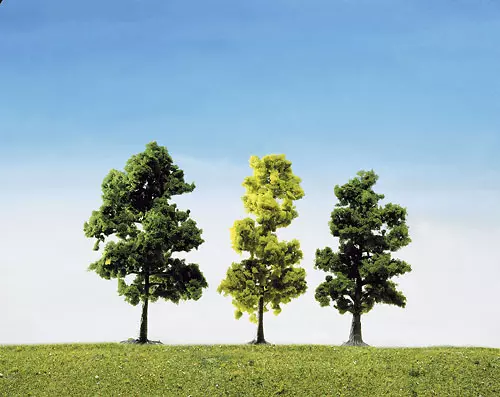 15 alberi assortiti della foresta mista