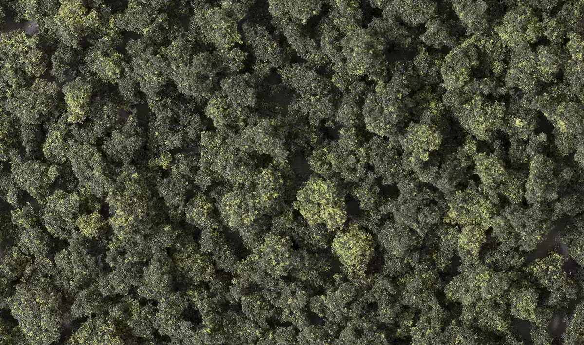 Arbusti di bosco 150 grammi