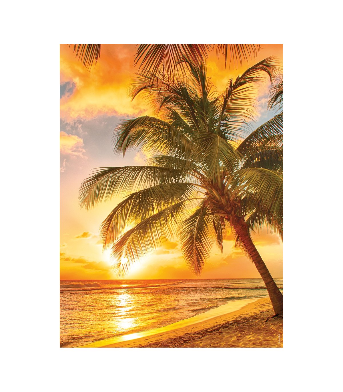 2 Puzzle da 500 Pezzi - Mare e monti