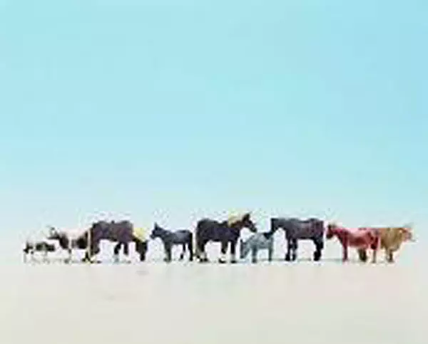 9 animali della fattoria