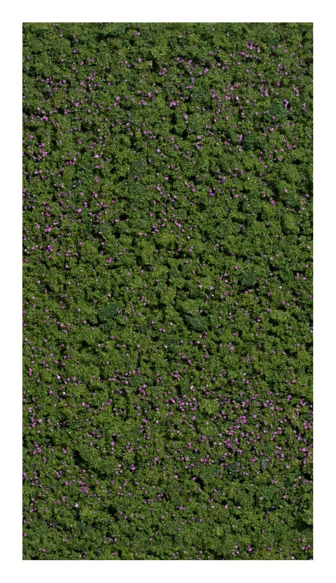 Gregge di mirtilli Busch 7348 - HO - 150 x 80 mm