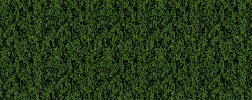 Floccaggio - Foglia verde pino - HEKI 1563 - Scala universale - 200 mL