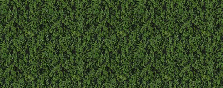 Floccaggio - Fogliame compatto - Verde scuro - HEKI 1582 - Scala HO / TT / N - 280 x 140 mm