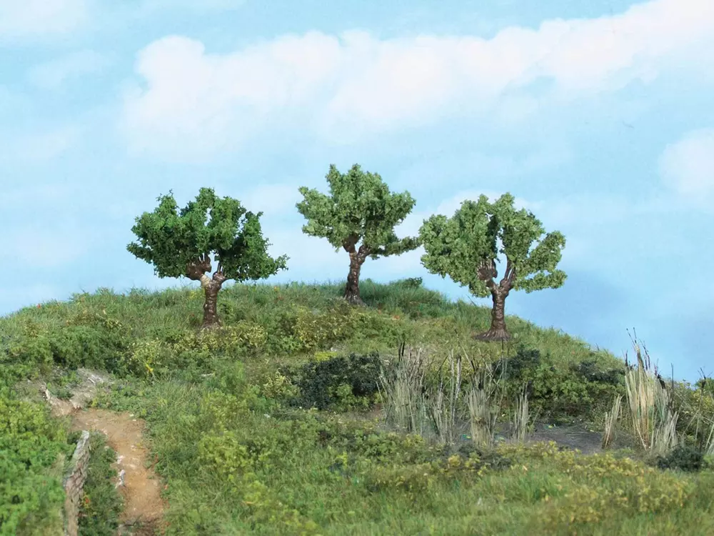 Lotto di tre alberi palustri