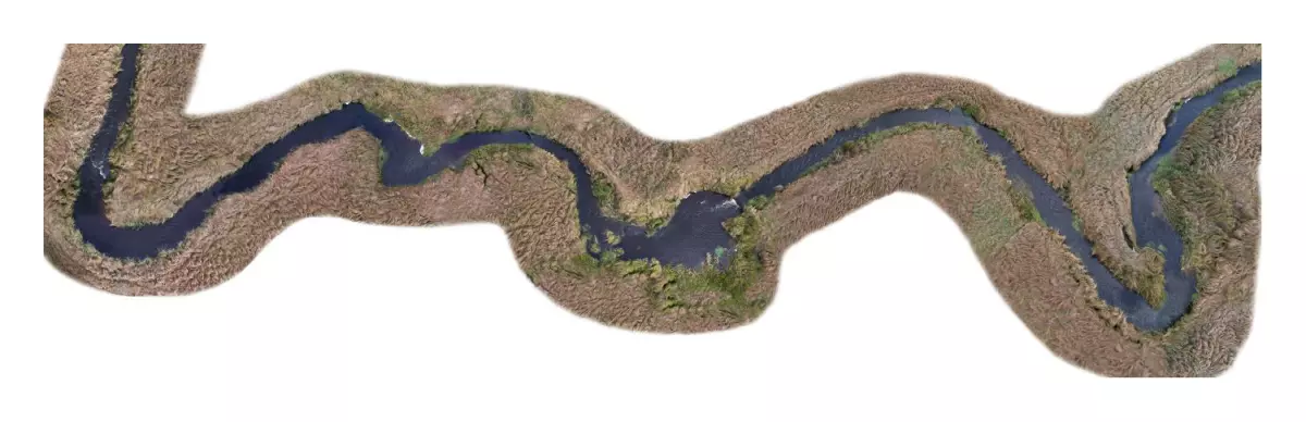 Foglie imitazione corso d'acqua | 3 parti AUHAGEN 76965 HO 1/87