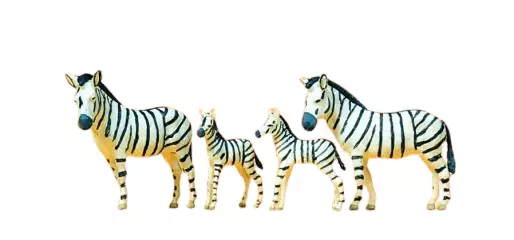 Zebre