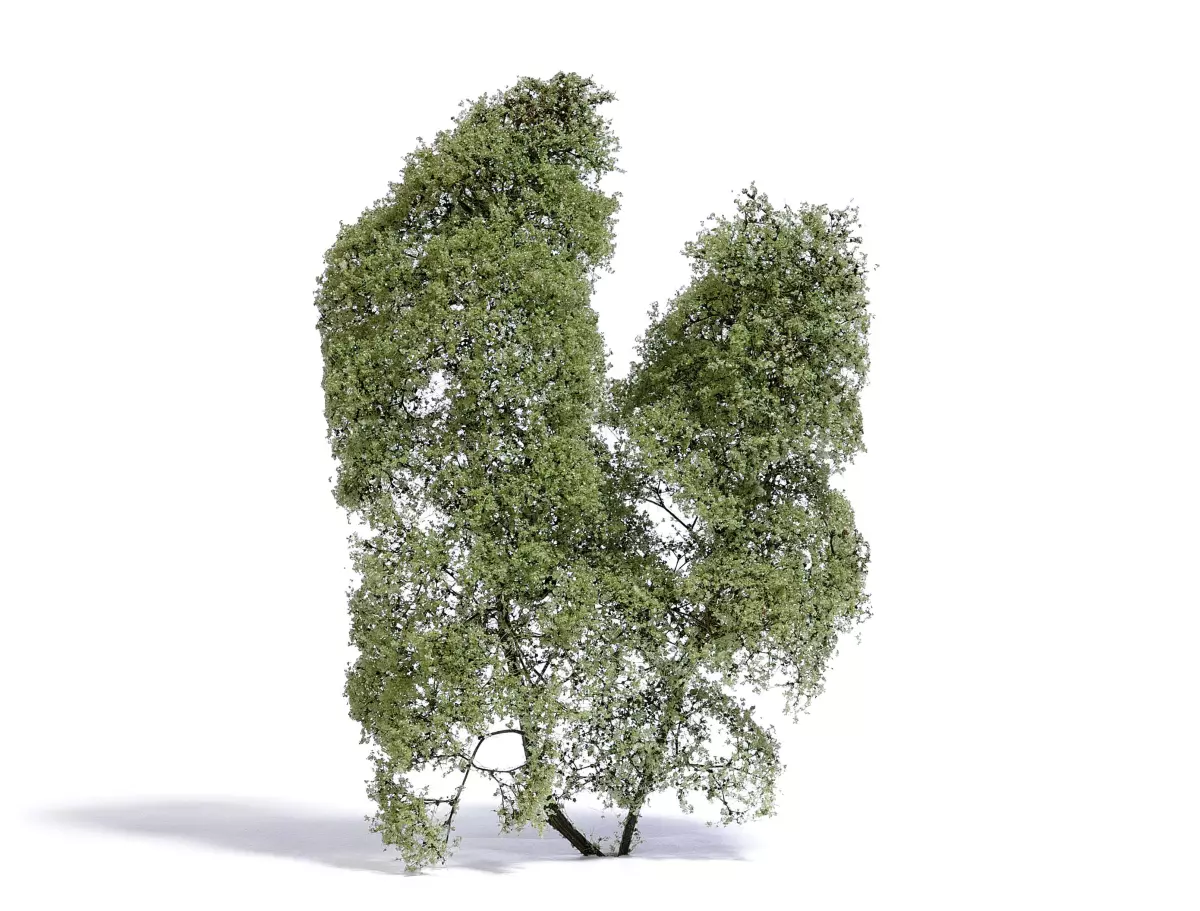 Albero estivo con foglie verde chiaro Busch 3581 - N / TT / Z