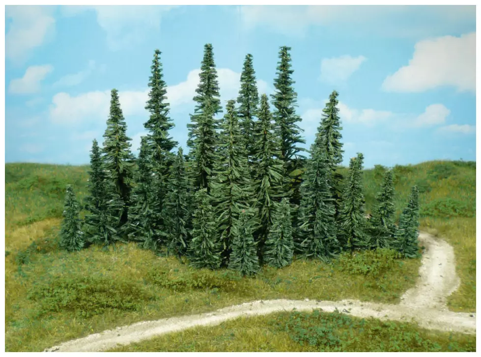 Confezione da 50 alberi 5-12 cm