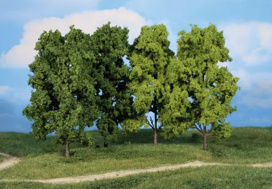 4 alberi decidui, 18 cm