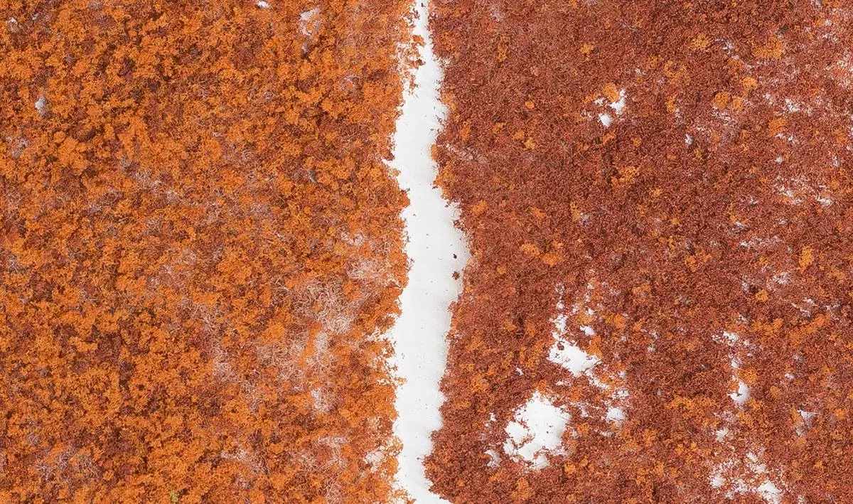 Woodland Scenics F56 - HO 1/87 - 464 cm² Sacco di flock per il fogliame autunnale