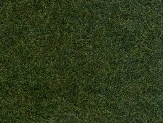 2 Stuoie di erba selvatica - Verde scuro - HEKI 1871 - Scala universale