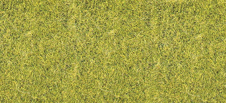 Floccaggio - Fibre di erba selvatica - Verde prateria - HEKI 3367 - Scala universale