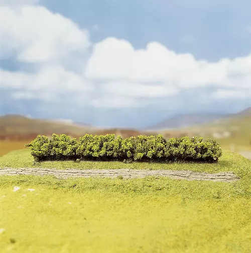 3 siepi verde chiaro