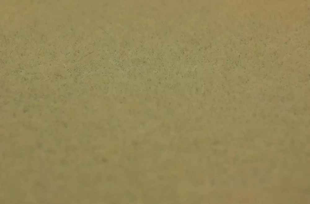 Schiuma floccata di 4,5 mm di erba autunnale.