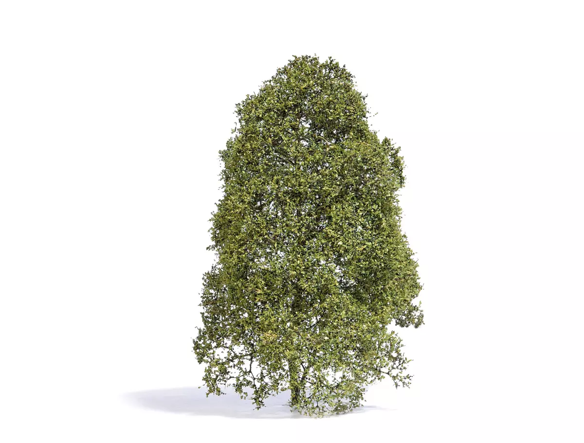 Albero estivo con foglie verde chiaro Busch 3586 - HO 1/87 - O 1/43