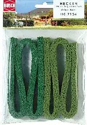 Siepi di grandi dimensioni