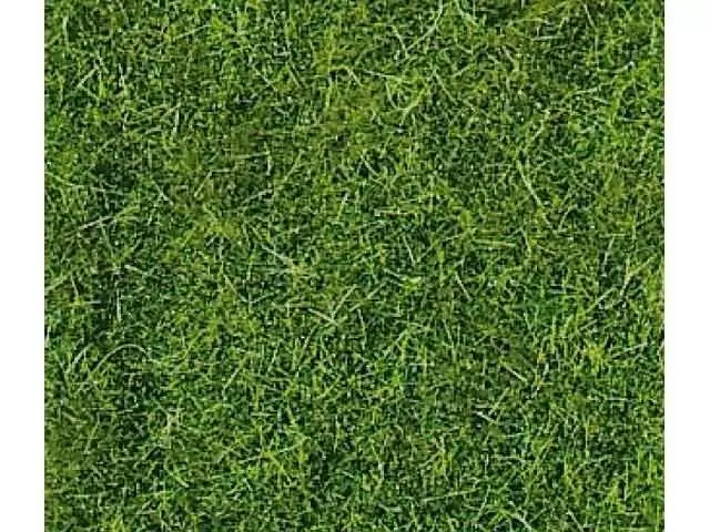 Tappeto da decostruire - Erba selvatica - Verde scuro - HEKI 1577 - 280x140 mm