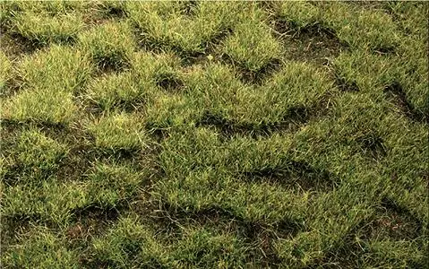 Floccaggio - Erba selvatica - Terreno paludoso - Verde scuro - HEKI 1843 - Scala HO / TT - 450x170 mm