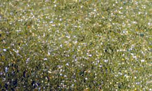 Gregge verde medio 200 mL