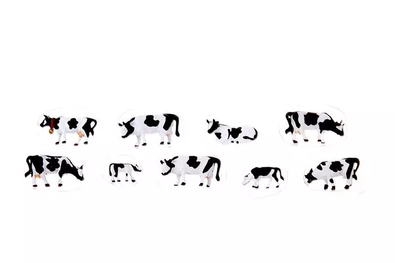 9 mucche bianche e nere
