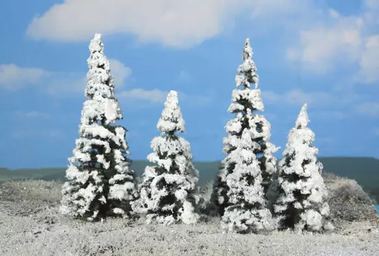 5 abeti innevati 7-12 cm