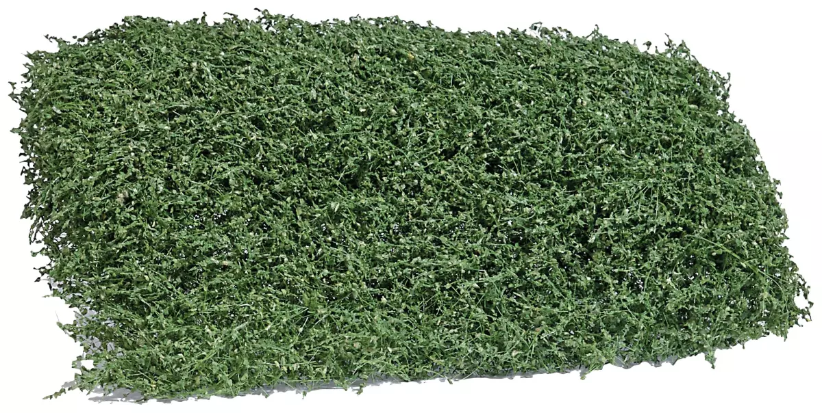 Arbusto estivo Busch 3598 - HO - 120 x 80 x 35 mm