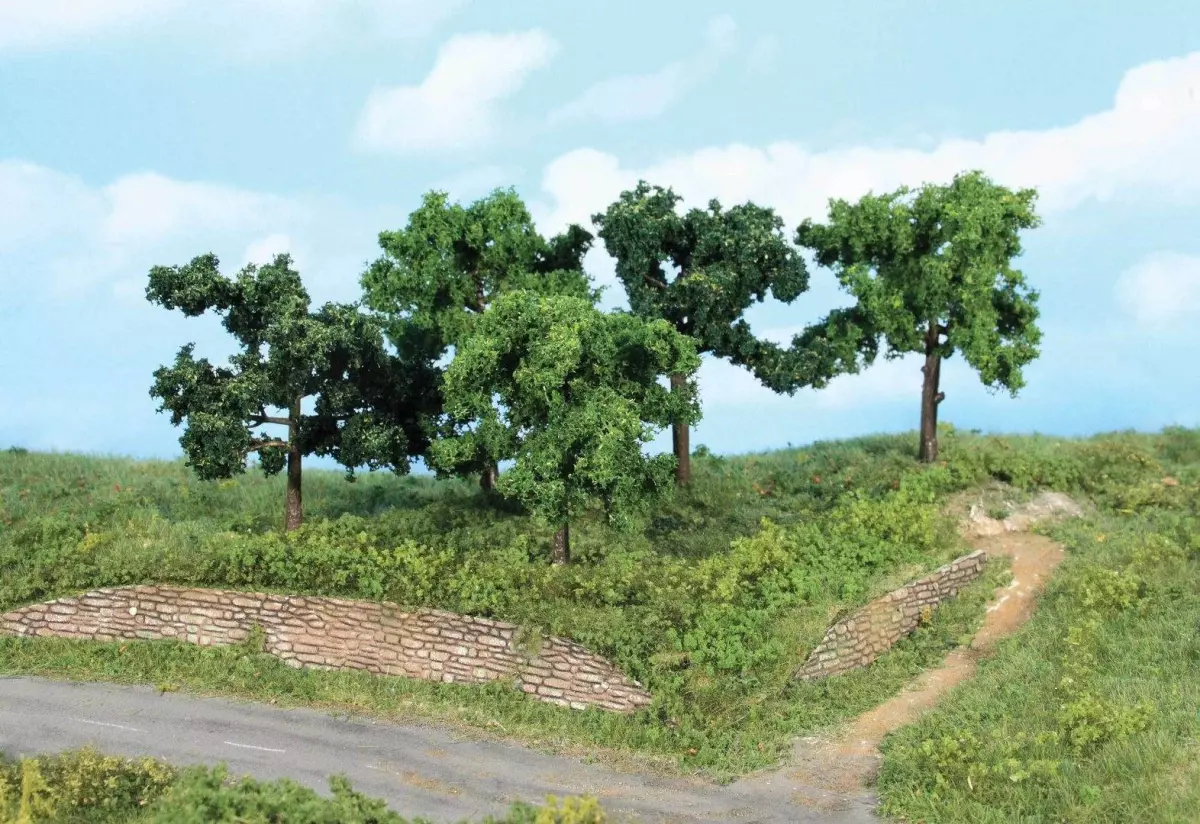 Lotto di 5 alberi da frutto di 8-10 cm di altezza