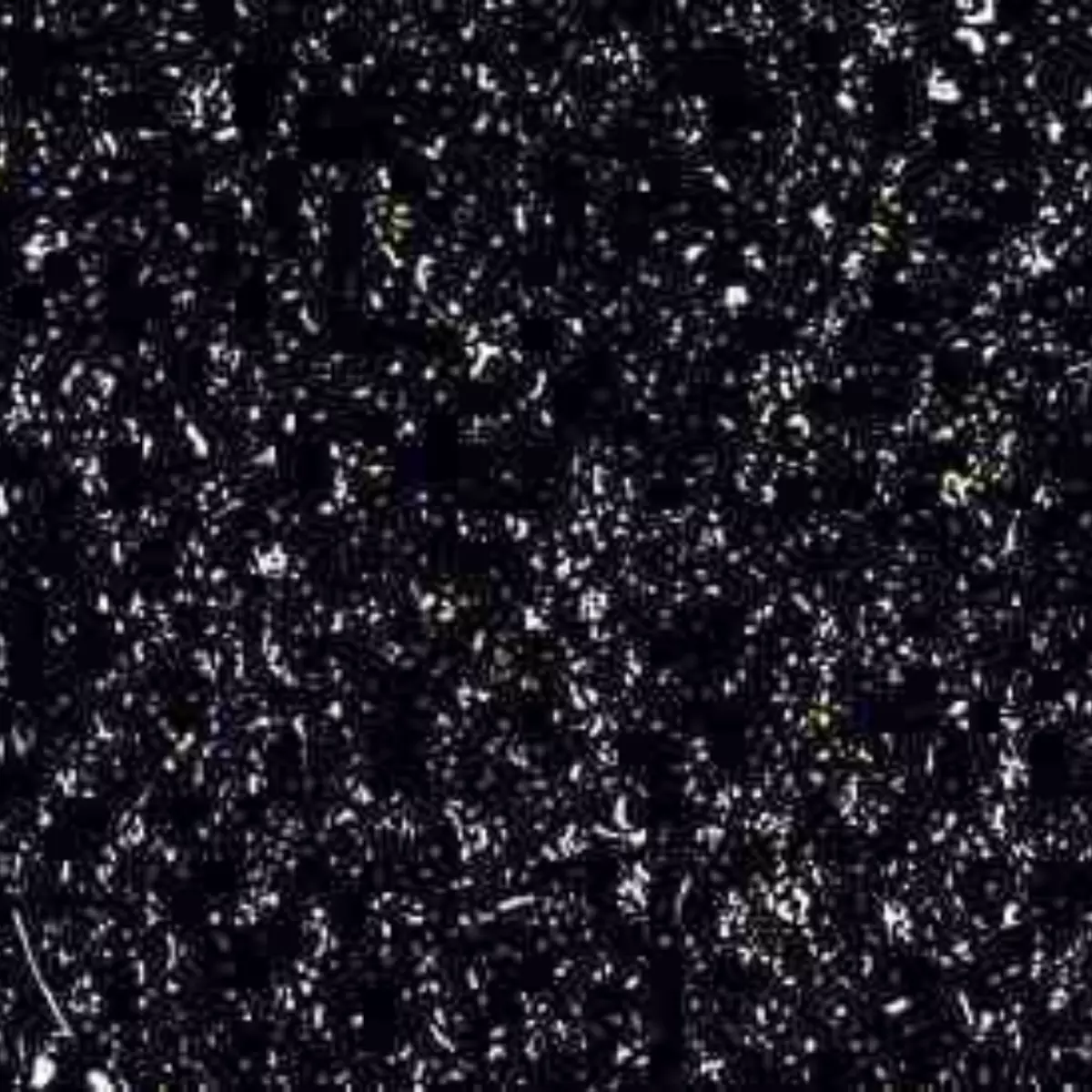 Carboncini, 250 grammi