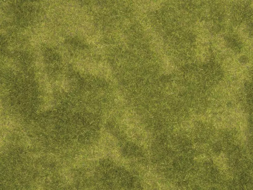 set di 2 stuoie per prato alluvionale Natur+ NOCH 07471 - HO 1/87 - 250 x 250 mm