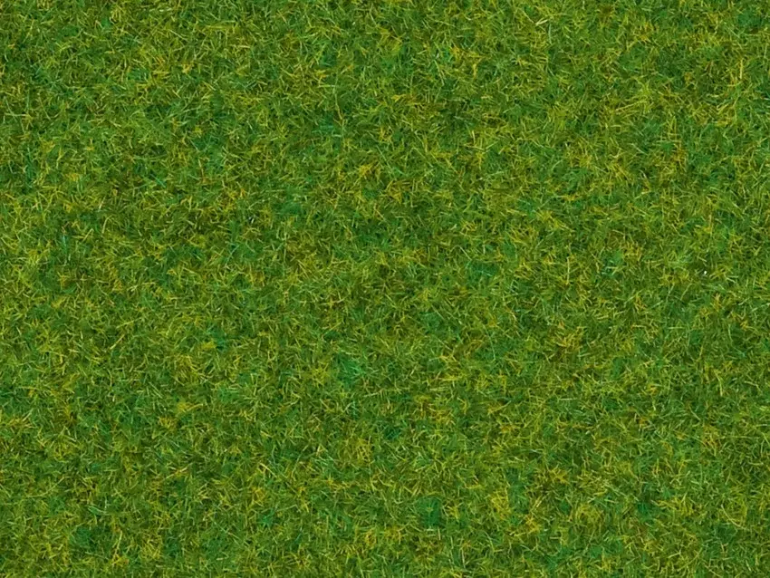 Sacchetto da 20 g, erba ornamentale, 2,5 mm