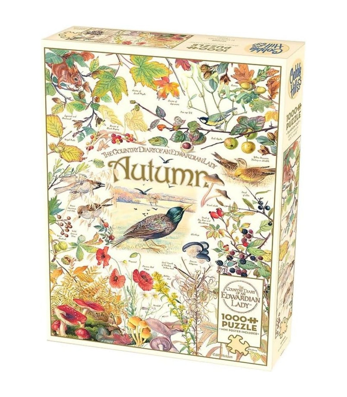 Cobble Hill (1000 pezzi) - Country Diary: Autumn