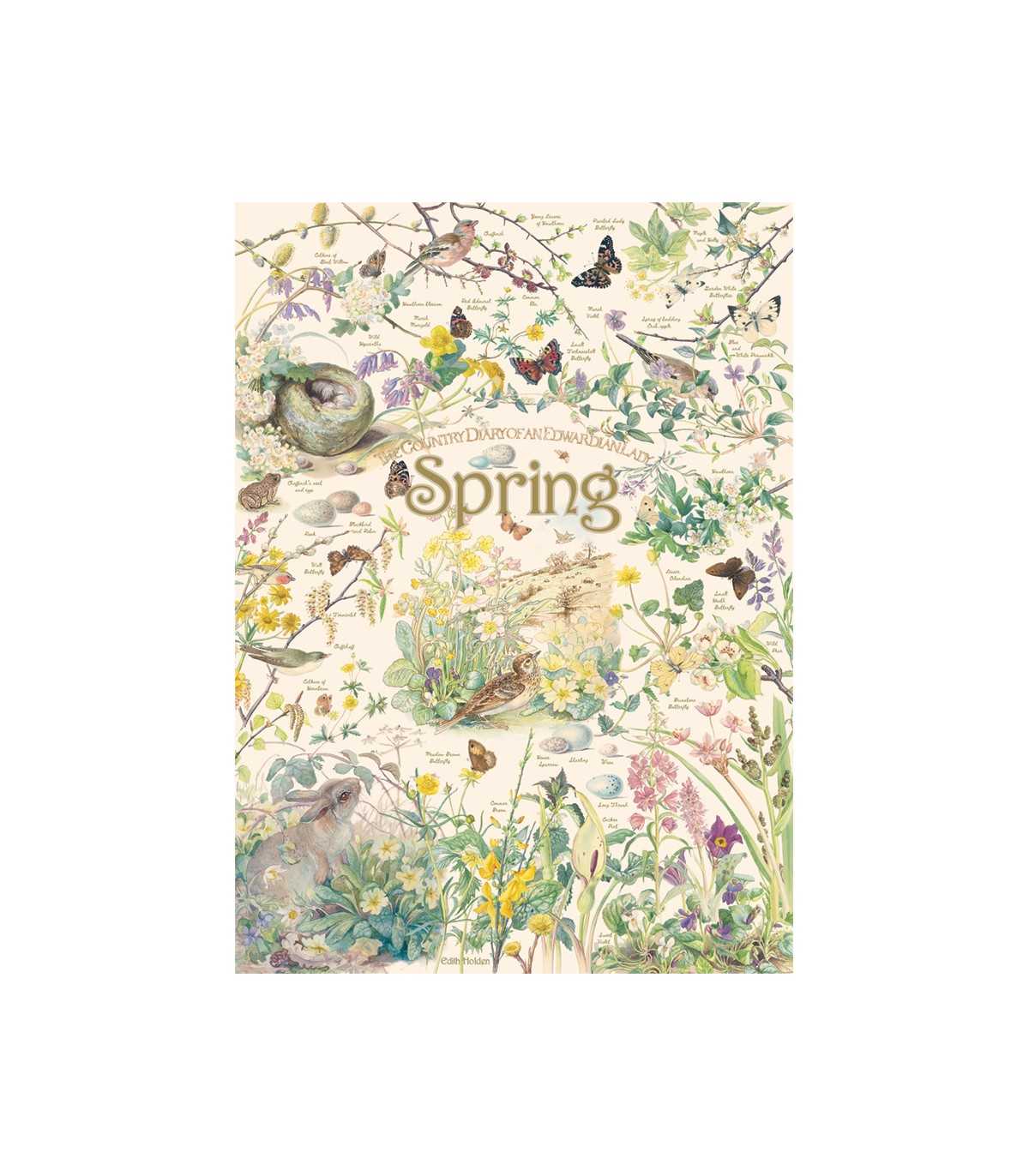 Country Diary: Spring- Puzzle 1000 pezzi