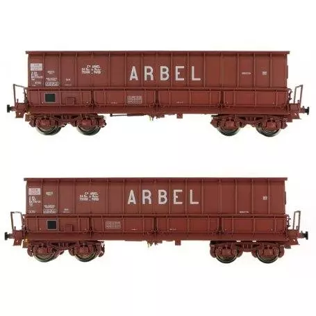 Set di 2 carri ribaltabili DMH SGW ARBEL SNCF