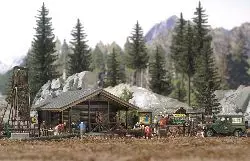 Chalet e ambiente forestale HO 1/87