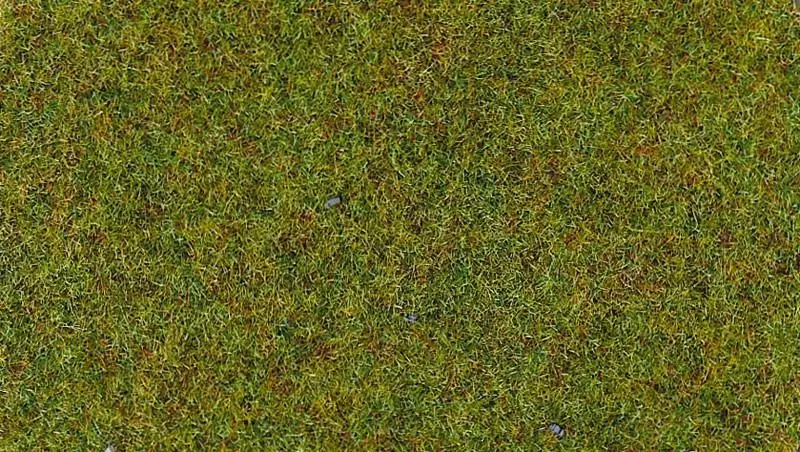 Floccaggio - Fibre erbacee estive macinate - HEKI 3360 - Scala universale - 100 g