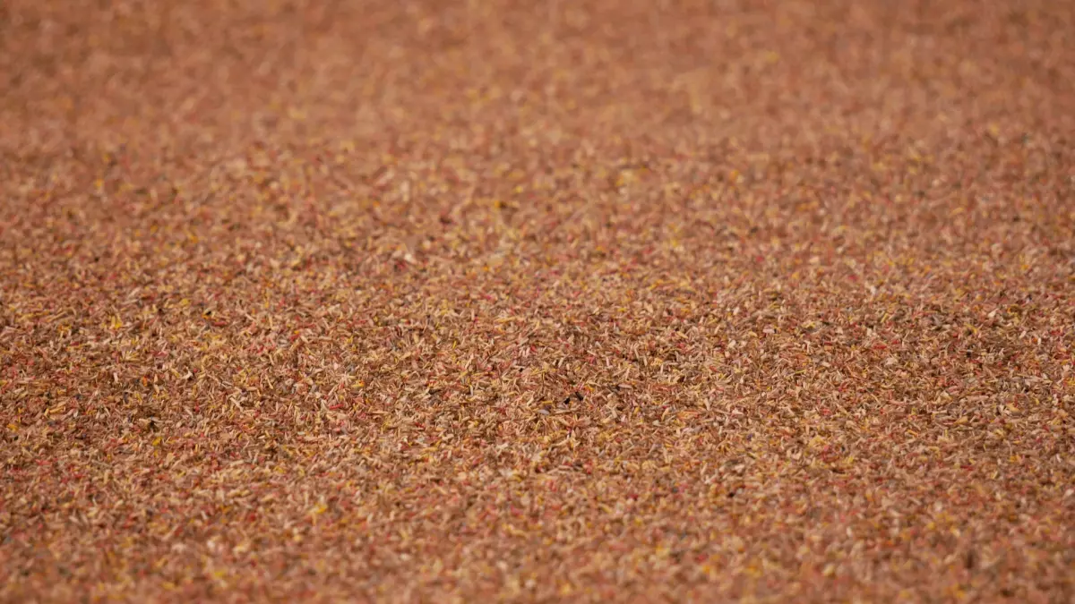 Tapis de ballast beige 120 X 60 cm