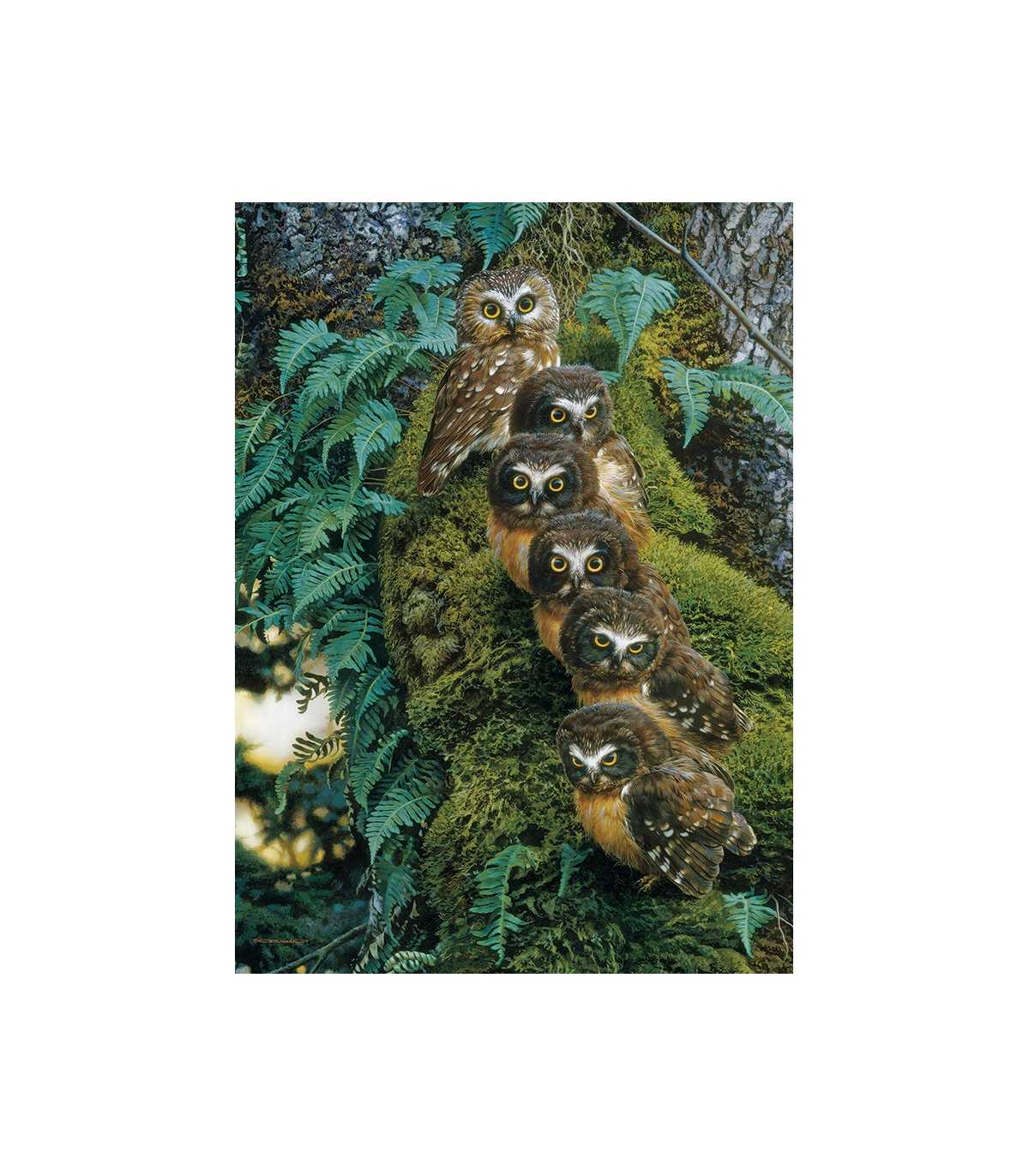 Family Tree - Puzzle 1000 pezzi