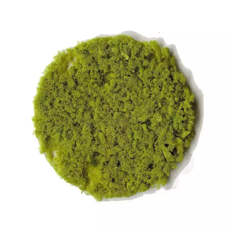 Floccaggio - Fiocchi di fogliame - Verde chiaro - HEKI 3388 - Scala universale