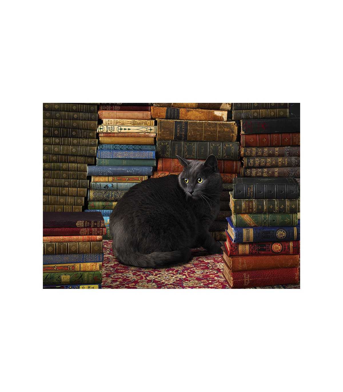 Library Cat - Puzzle 1000 pezzi