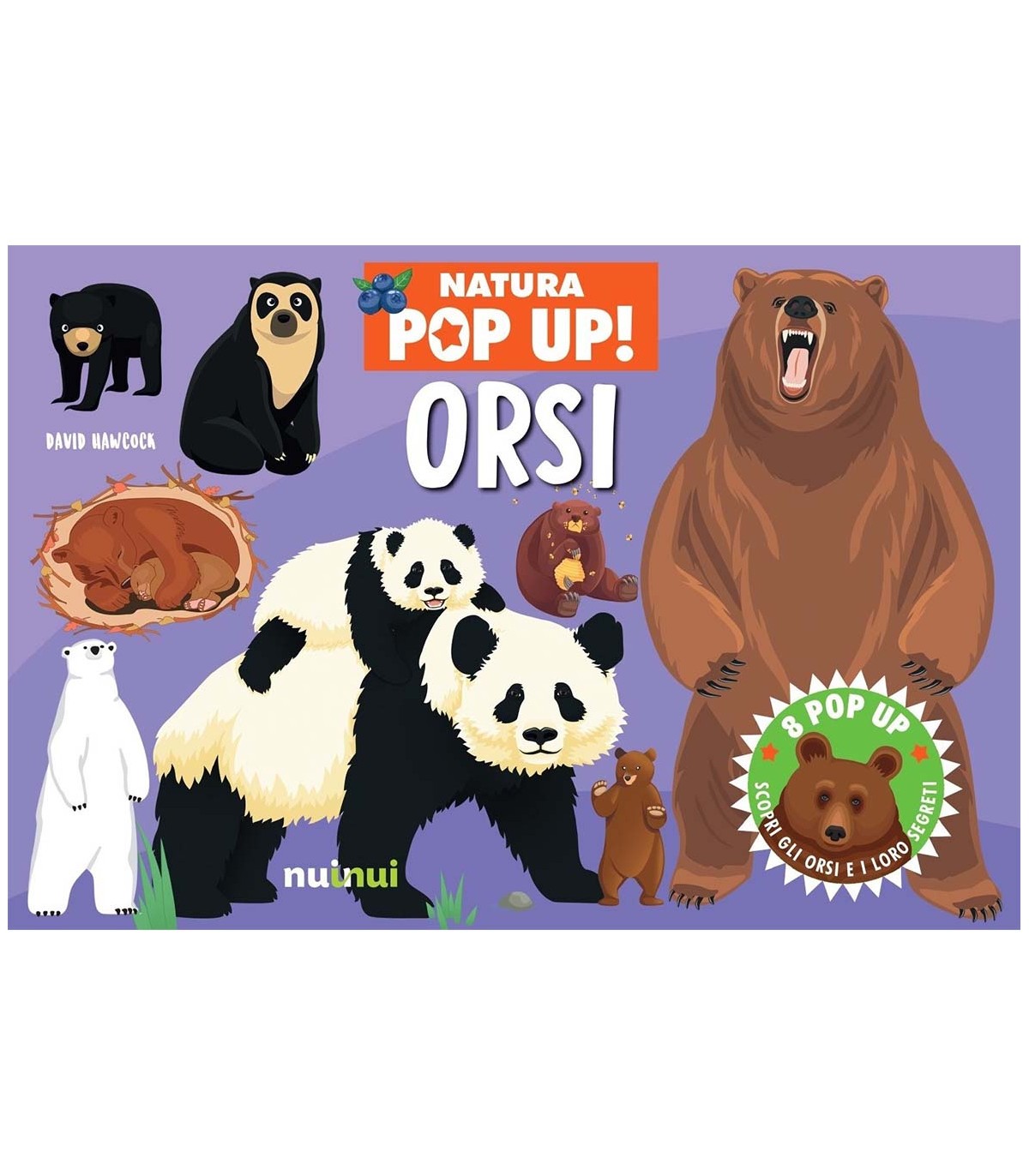 Natura Pop Up - Orsi