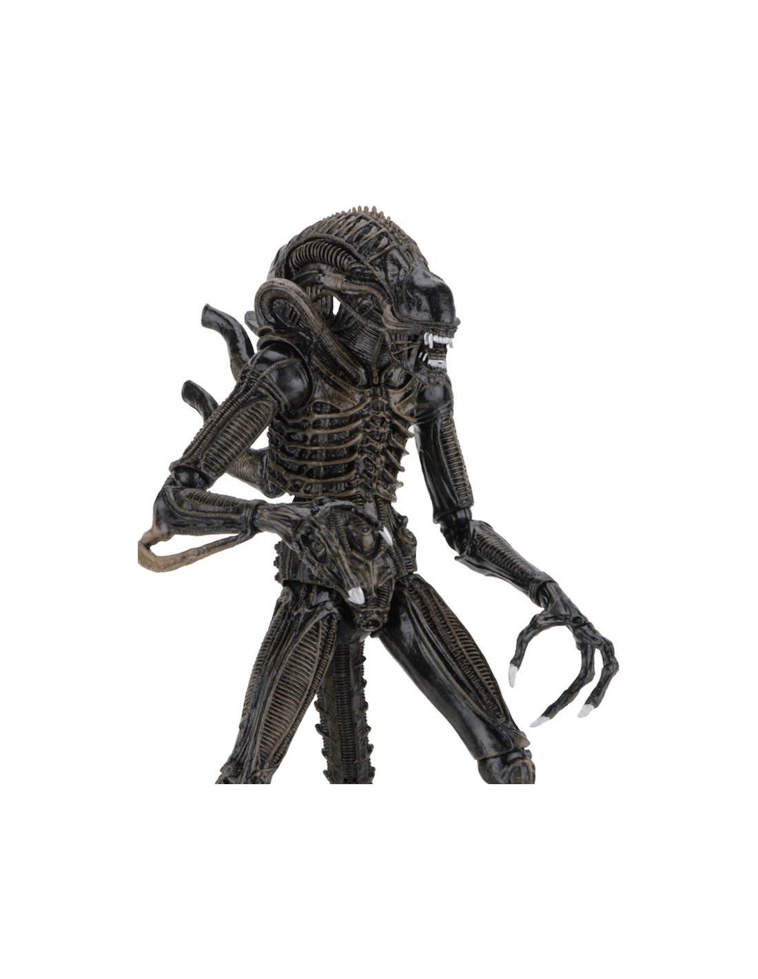 NECA ALIENS 1986 ULTIMATE EDITION BROWN XENOMORPH ACTION FIGURE NEW NUOVO