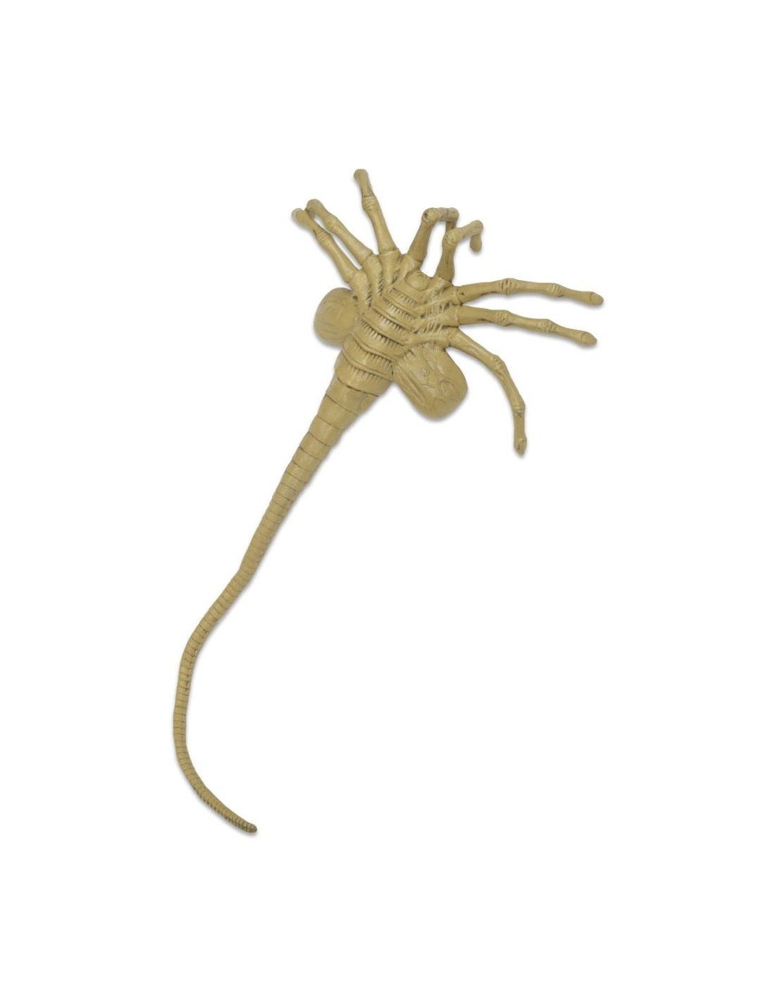 NECA ALIENS FOAM PROP REPLICA FACEHUGGER LIFE SIZE 1:1 SCALE NEW NUOVO