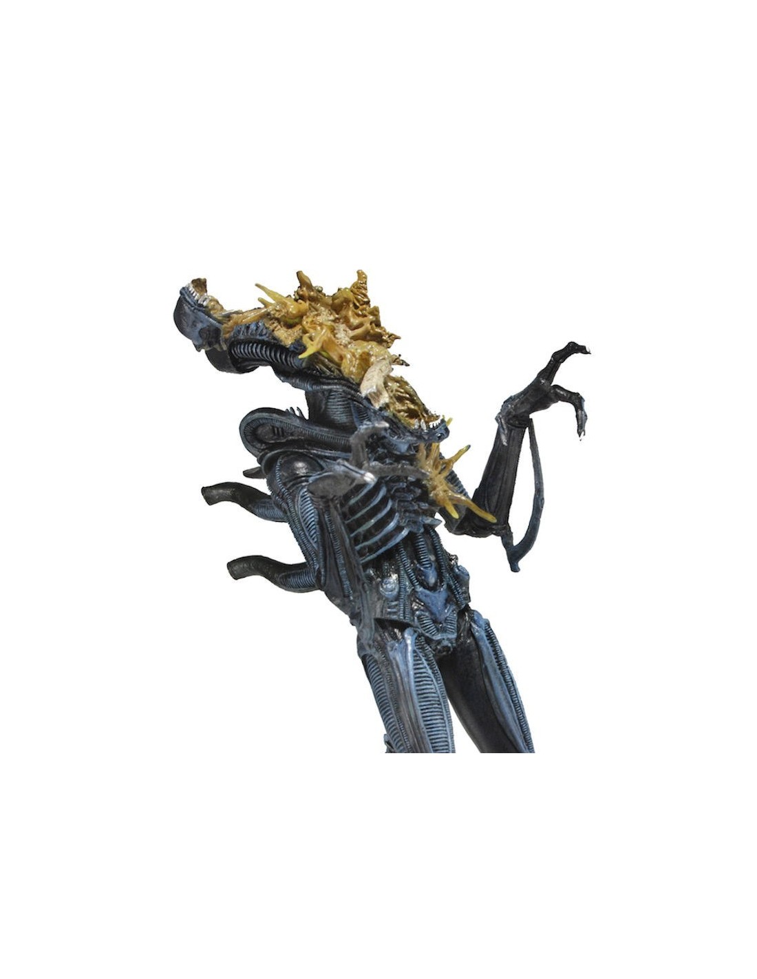 NECA ALIENS SERIES 12 XENOMORPH WARRIOR BATTLE DAMAGED HEAD ACTION FIGURE NEW
