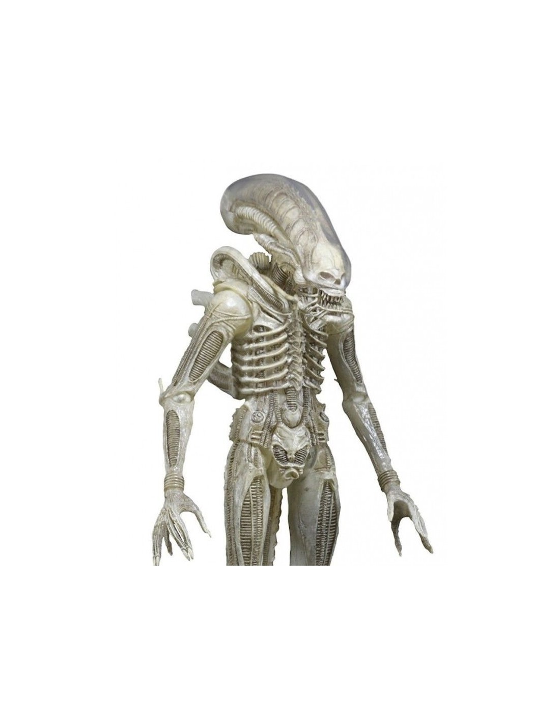 NECA ALIENS SERIES 7 1979 TRANSLUCENT XENOMORPH ACTION FIGURE NEW NUOVO