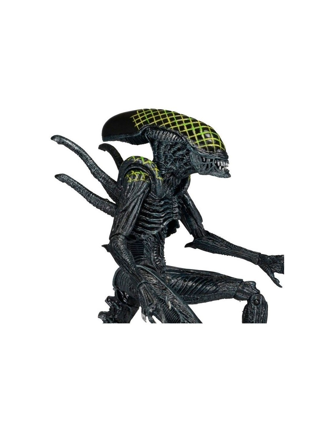 NECA ALIENS SERIES 7 AVP GRID ALIEN XENOMORPH ACTION FIGURE NEW NUOVO