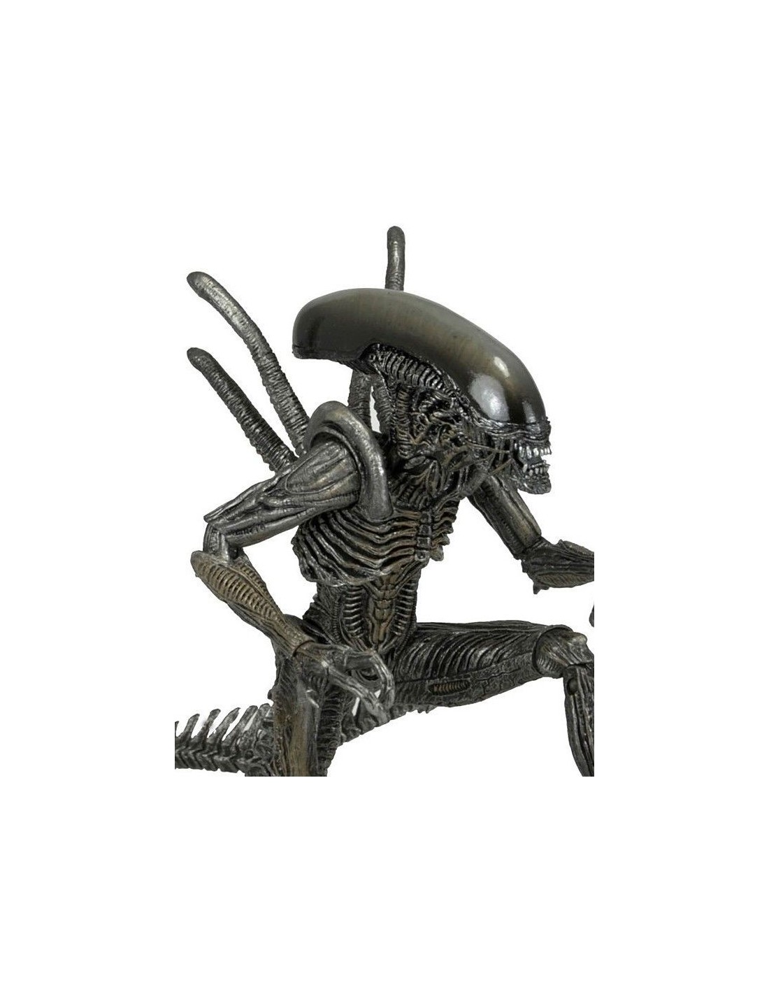 NECA ALIENS SERIES 7 AVP WARRIOR ALIEN XENOMORPH ACTION FIGURE NEW NUOVO