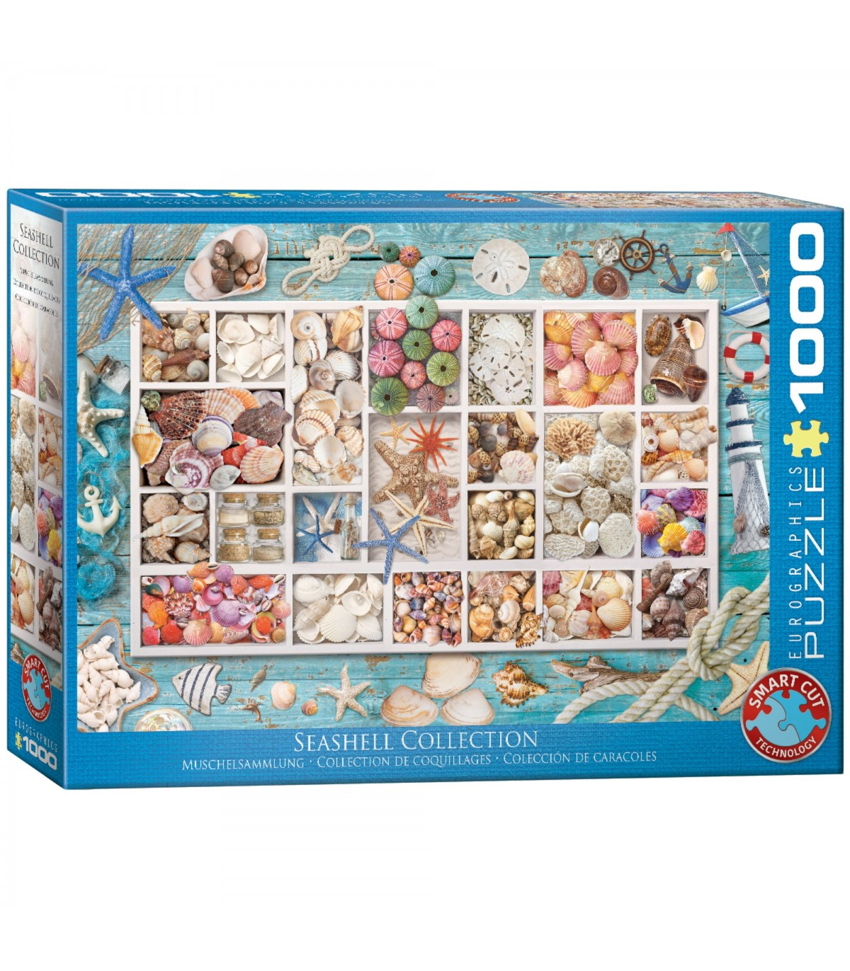 Puzzle da 1000 Pezzi - Seashell Collection